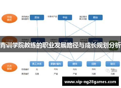 青训学院教练的职业发展路径与成长规划分析