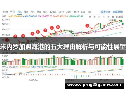 米内罗加盟海港的五大理由解析与可能性展望